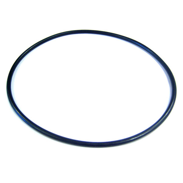 Max-E-Glas Dura-Glas Pump Sta-Rite Seal Plate O-Ring U9-228A