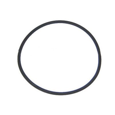 Pentair Body O-ring Clean & Clear Predator Filter 87300400
