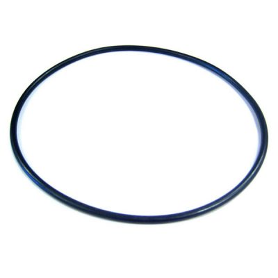 Pentair SuperFlo VS Pinnacle Pump Seal Plate Bracket O-Ring O-465 355619