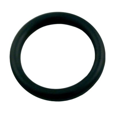 Anthony Filter 1.5in Plastic Backwash Valve Stem O-Ring 017791