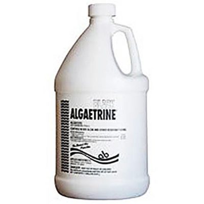 Applied Biochemists Black Algaetrine Algeacide 1 Gallon 406304