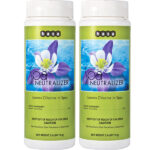 Hasa Hi-Temp Spa Chlorine Neutralizer 81412