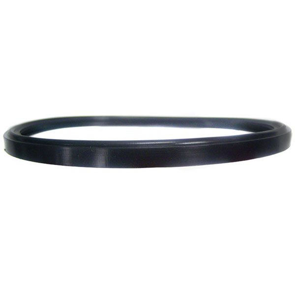 Swimming Pool Lens Gasket AstroLite Light SPX0580Z2