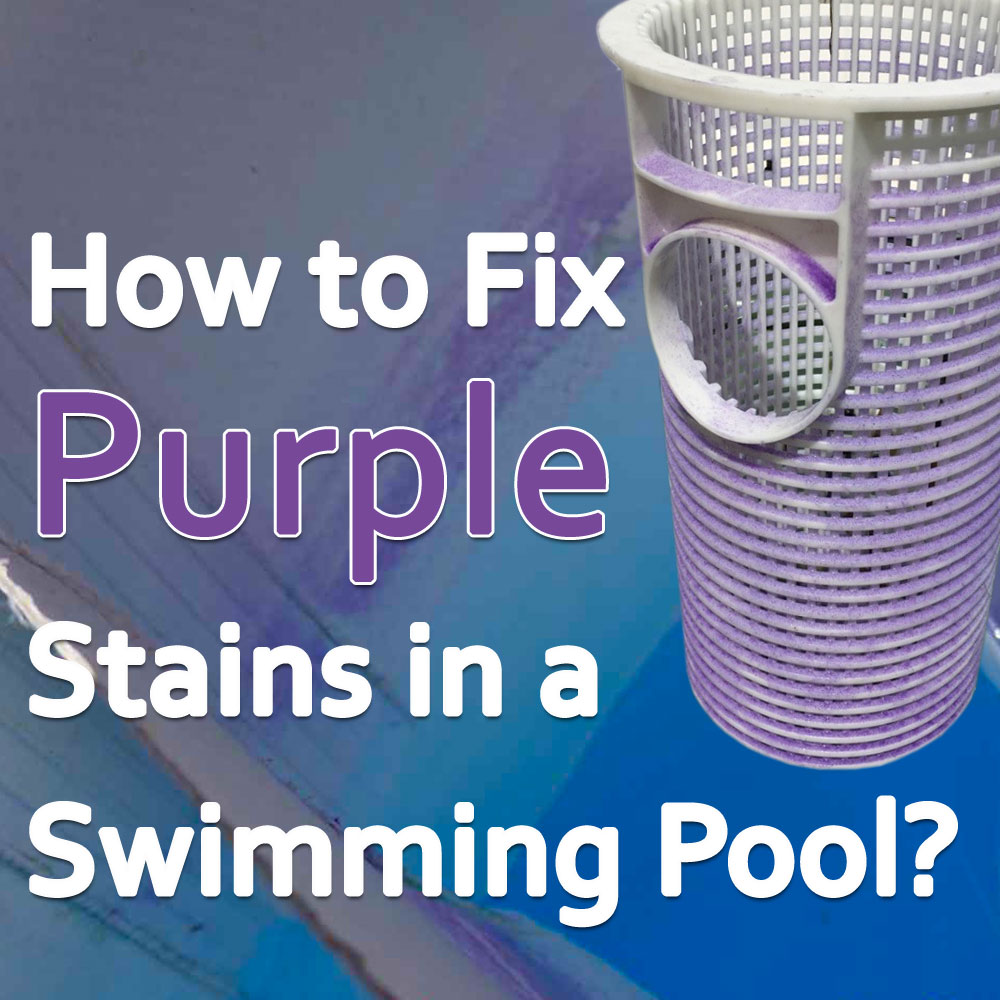 What Causes Purple Stain in a Swimming Pool and How To Fix That?