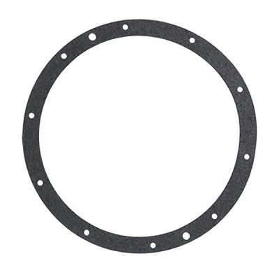 Pentair Liner Sealing Ring 10 Hole Standard One Gasket 79200400