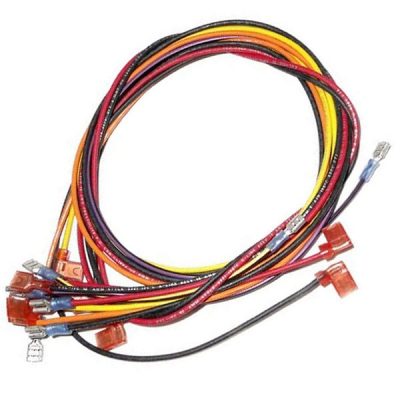 Raypak Pool Heater Millivolt R185 - R405 Wire Harness 005269F